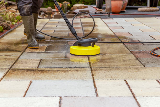 Best Spring Cleaning  in Rensselaer, IN