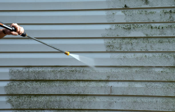 Best Sidewalk and Walkway Cleaning  in Rensselaer, IN